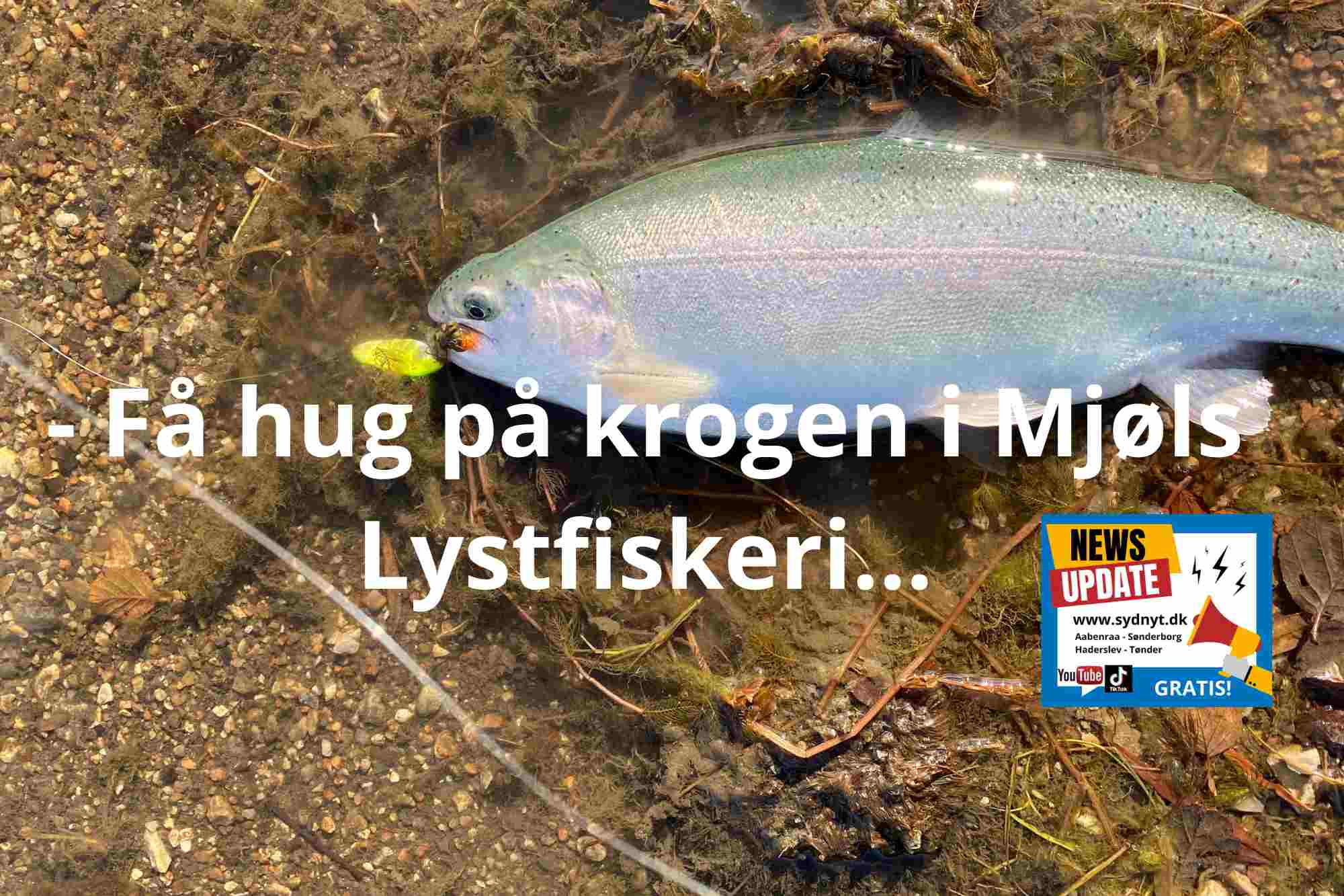 SE VIDEO: Mjøls Lystfiskeri Rødekro – Masser af fisk og de hugger