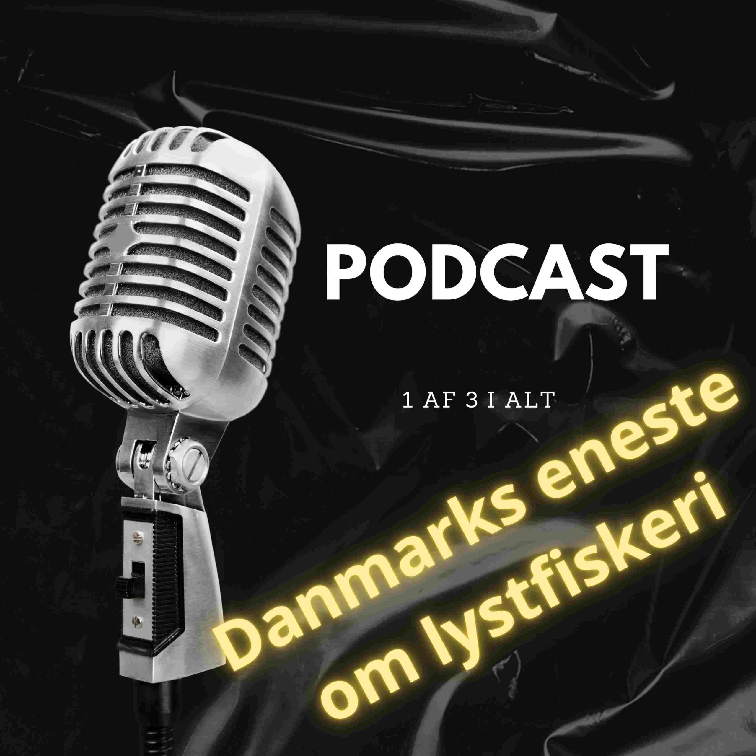 Podcast: Sådan får du fisk på krogen – eller derfor fik vi ingen fisk med hjem fra Simons P&T…