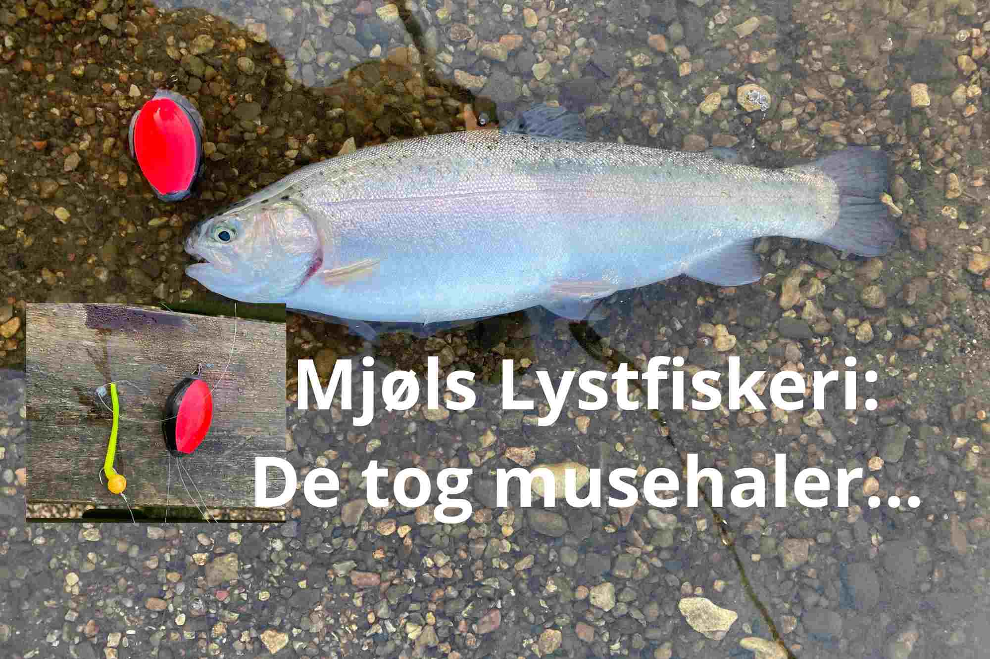 Musehaler – Mice Tails fra Berkley – så fanger du fisk….